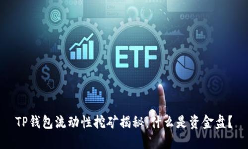 TP钱包流动性挖矿揭秘：什么是资金盘？