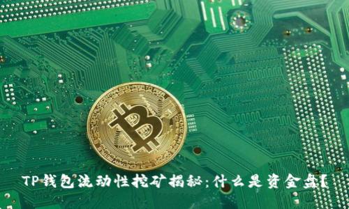 TP钱包流动性挖矿揭秘：什么是资金盘？
