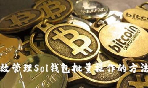 如何高效管理Sol钱包批量操作的方法与技巧