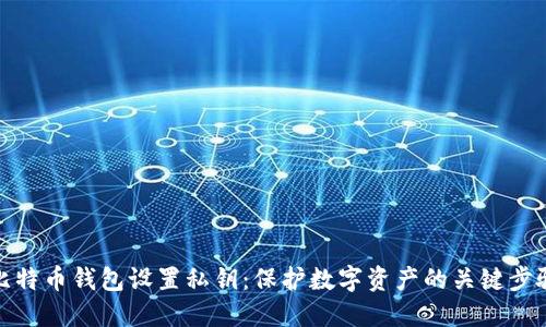 比特币钱包设置私钥：保护数字资产的关键步骤