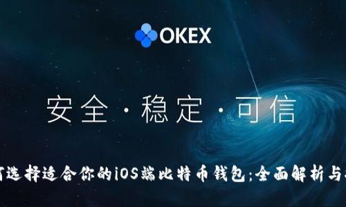 如何选择适合你的iOS端比特币钱包：全面解析与推荐