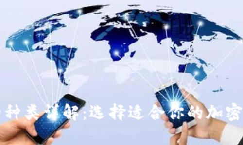 比特币钱包的种类详解：选择适合你的加密货币存储方案