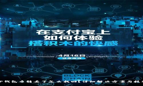 TP钱包币转丢了怎么找回？详细解决方案与技巧