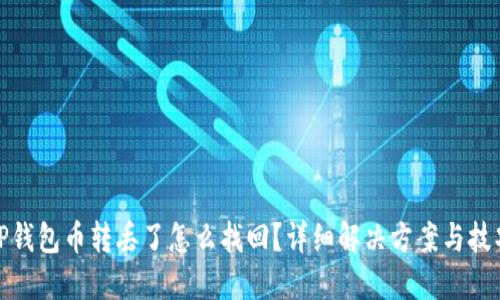 TP钱包币转丢了怎么找回？详细解决方案与技巧