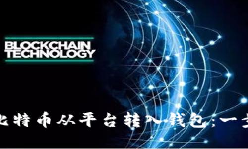 如何将比特币从平台转入钱包：一步步教程