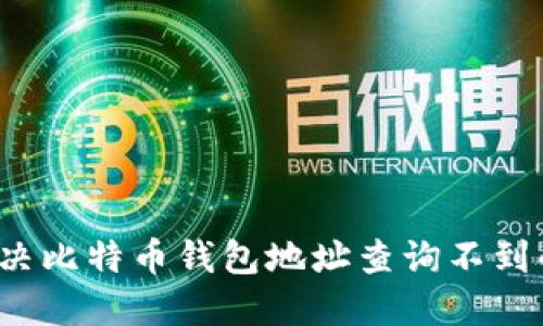 如何解决比特币钱包地址查询不到的问题？