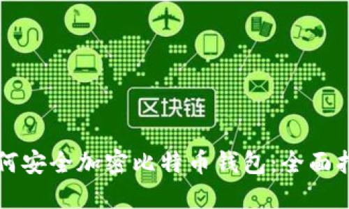 如何安全加密比特币钱包：全面指南