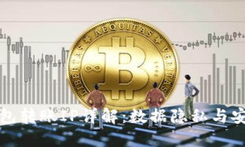 比特币钱包转账IP详解：数据隐私与安全性问题