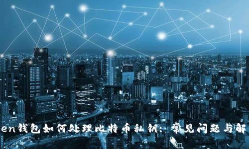 Imtoken钱包如何处理比特币私钥: 常见问题与解决方案