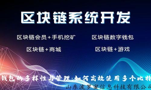 比特币钱包的多样性与管理：如何高效使用多个比特币钱包