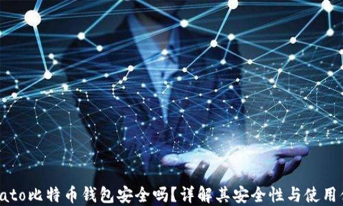 
Potato比特币钱包安全吗？详解其安全性与使用体验