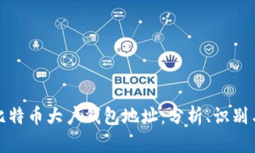 深入探索比特币大户钱包地址：分析、识别与投资策略