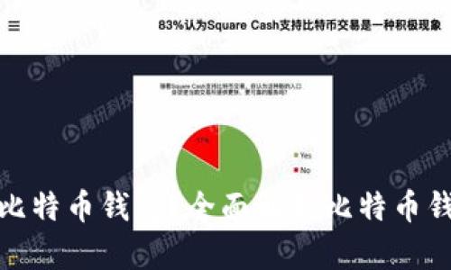 如何选择合适的比特币钱包？全面解析比特币钱包类型与安全性