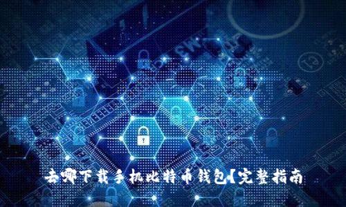 去哪下载手机比特币钱包？完整指南