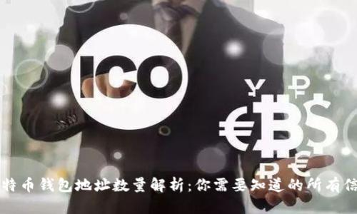 比特币钱包地址数量解析：你需要知道的所有信息