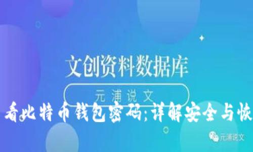 如何查看比特币钱包密码：详解安全与恢复方法