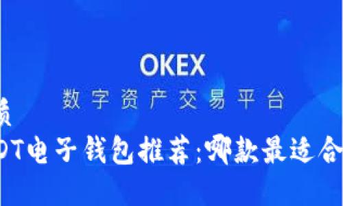 优质
USDT电子钱包推荐：哪款最适合你？