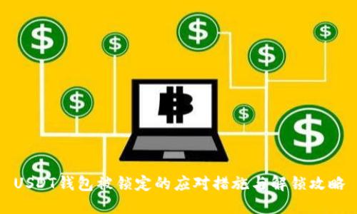 USDT钱包被锁定的应对措施与解锁攻略