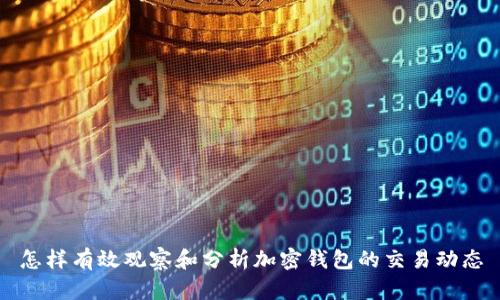 怎样有效观察和分析加密钱包的交易动态
