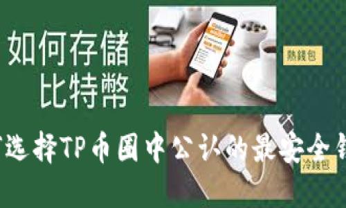 如何选择TP币圈中公认的最安全钱包？