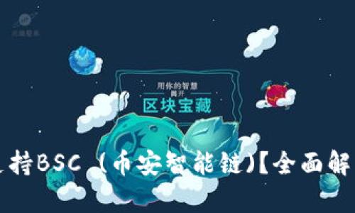 TP钱包是否支持BSC (币安智能链)？全面解析与用户指南