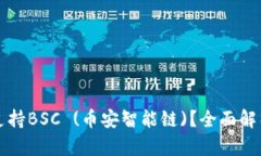 TP钱包是否支持BSC (币安智