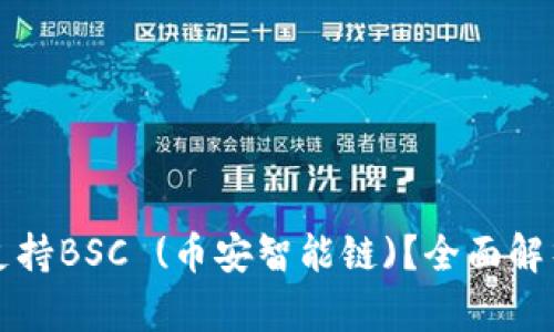 TP钱包是否支持BSC (币安智能链)？全面解析与用户指南