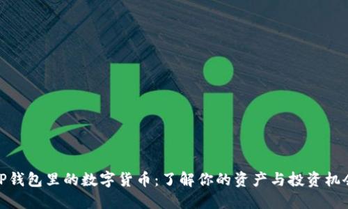 TP钱包里的数字货币：了解你的资产与投资机会