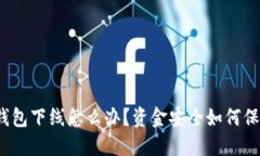 TP钱包下线怎么办？资金安