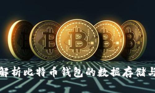 全面解析比特币钱包的数据存储与管理