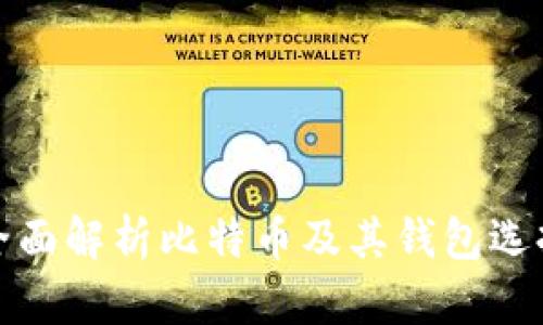 全面解析比特币及其钱包选择