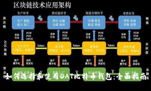 如何选择和使用DAT比特币钱包：全面指南