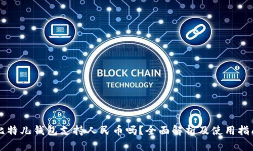 比特儿钱包支持人民币吗？全面解析及使用指南