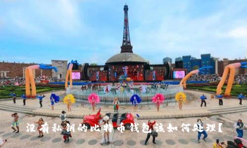 没有私钥的比特币钱包该如何处理？