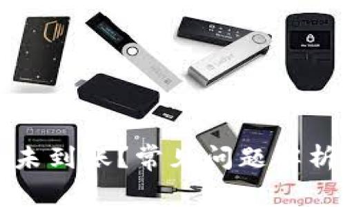 TP钱包提币未到账？常见问题解析及解决方法