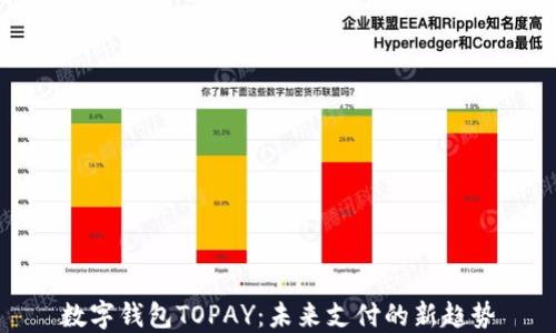 
数字钱包TOPAY：未来支付的新趋势