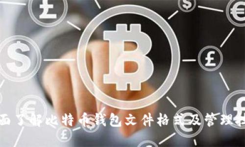 全面了解比特币钱包文件格式及管理技巧