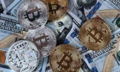 使用Python构建比特币轻钱