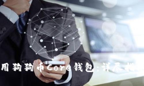 如何安全使用狗狗币Core钱包：详尽指南与最佳实践