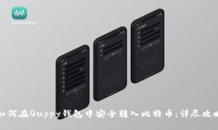 如何在Quppy钱包中安全转入比特币：详尽攻略