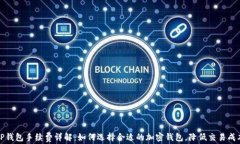 TP钱包手续费详解：如何选