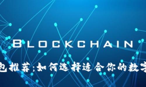 瑞波币最佳钱包推荐：如何选择适合你的数字资产存储方案