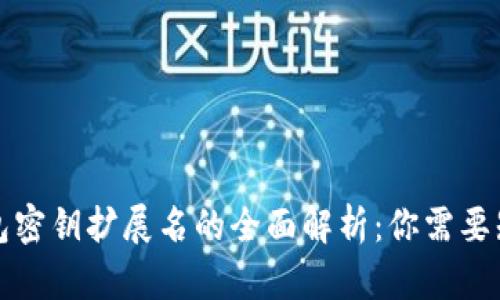 比特币钱包密钥扩展名的全面解析：你需要知道的一切