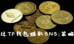 如何通过TP钱包赚取BNB：策