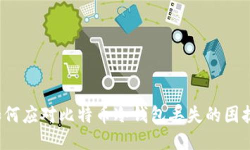 如何应对比特币冷钱包丢失的困扰？