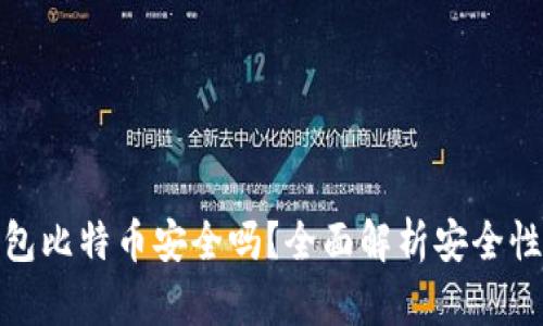 打点钱包比特币安全吗？全面解析安全性与风险