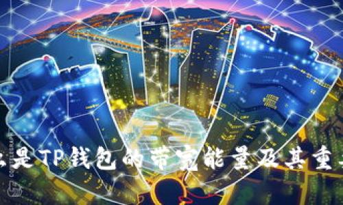 什么是TP钱包的带宽能量及其重要性