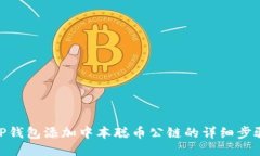 TP钱包添加中本聪币公链的