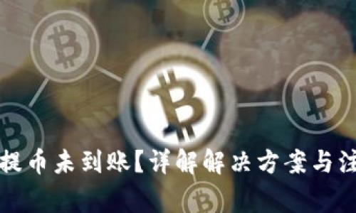 TP钱包提币未到账？详解解决方案与注意事项