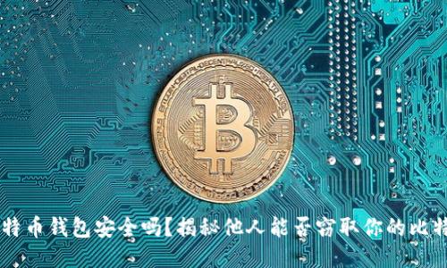 比特币钱包安全吗？揭秘他人能否窃取你的比特币